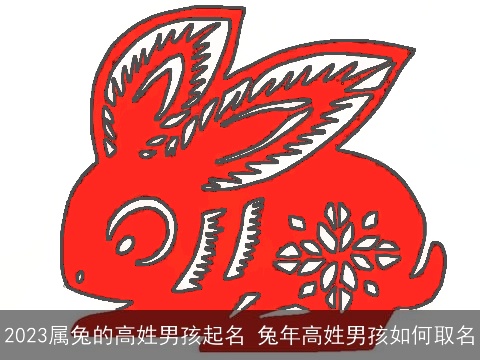 2023属兔的高姓男孩起名 兔年高姓男孩如何取名