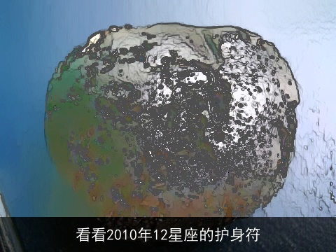 看看2010年12星座的护身符