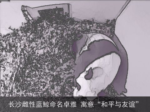 长沙雌性蓝鲸命名卓雅 寓意“和平与友谊”