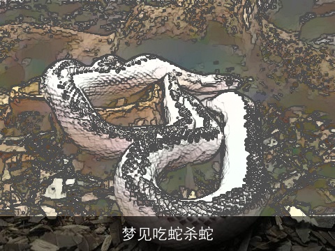 梦见吃蛇杀蛇