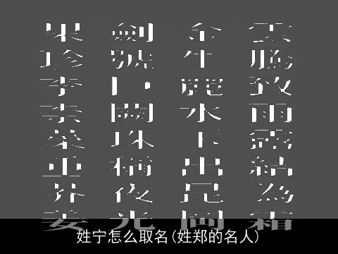 姓宁怎么取名(姓郑的名人)