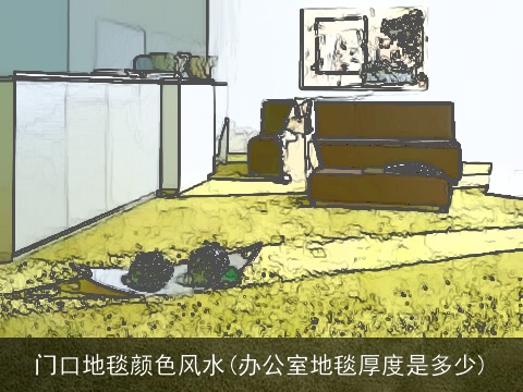 门口地毯颜色风水(办公室地毯厚度是多少)