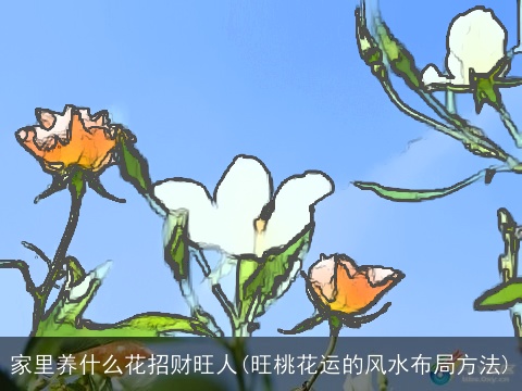 家里养什么花招财旺人(旺桃花运的风水布局方法)