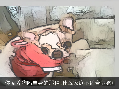 你家养狗吗单身的那种(什么家庭不适合养狗)