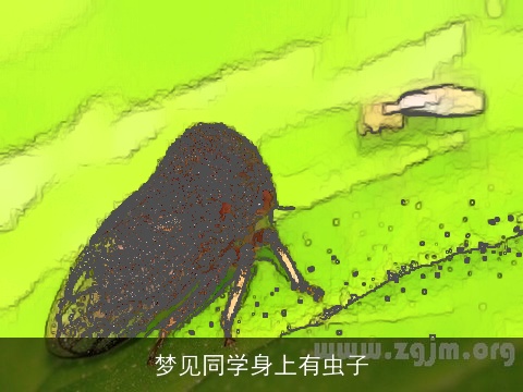 梦见同学身上有虫子