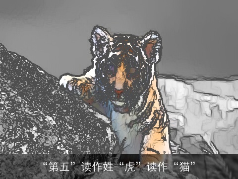 “第五”读作姓“虎”读作“猫”