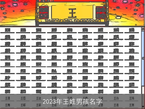 2023年王姓男孩名字