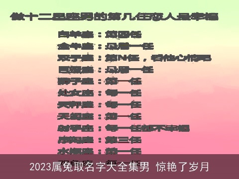 2023属兔取名字大全集男 惊艳了岁月