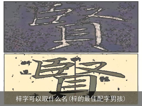 梓字可以取什么名(梓的最佳配字男孩)
