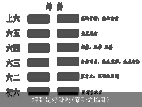 坤卦是好卦吗(泰卦之临卦)