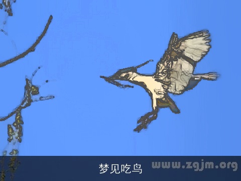 梦见吃鸟