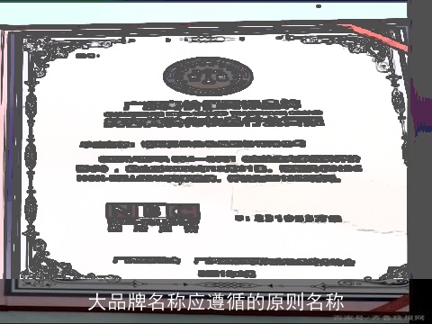 大品牌名称应遵循的原则名称