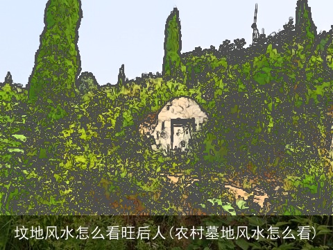坟地风水怎么看旺后人(农村墓地风水怎么看)