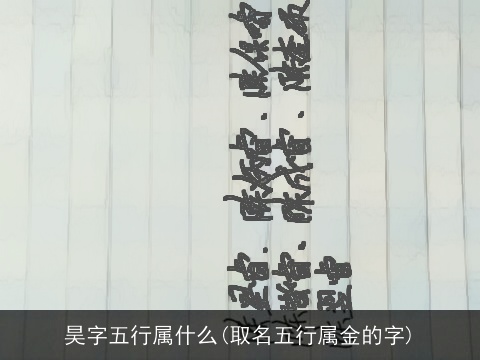 昊字五行属什么(取名五行属金的字)