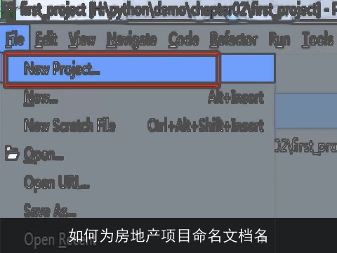 如何为房地产项目命名文档名
