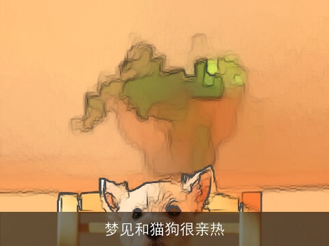 梦见和猫狗很亲热