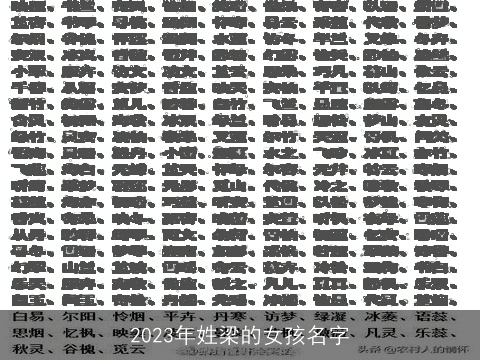 2023年姓梁的女孩名字