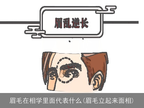 眉毛在相学里面代表什么(眉毛立起来面相)