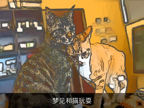 梦见和猫玩耍