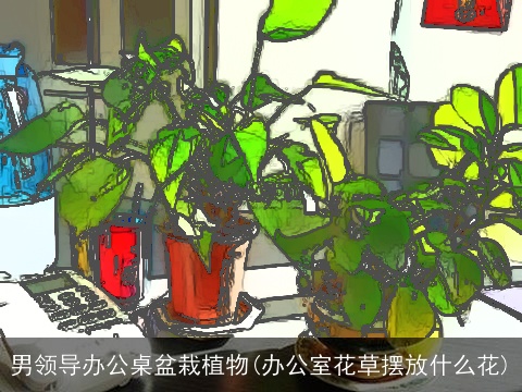 男领导办公桌盆栽植物(办公室花草摆放什么花)