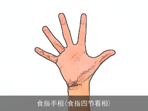 食指手相(食指四节看相)