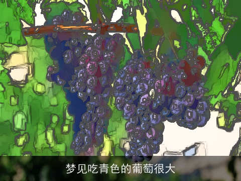 梦见吃青色的葡萄很大