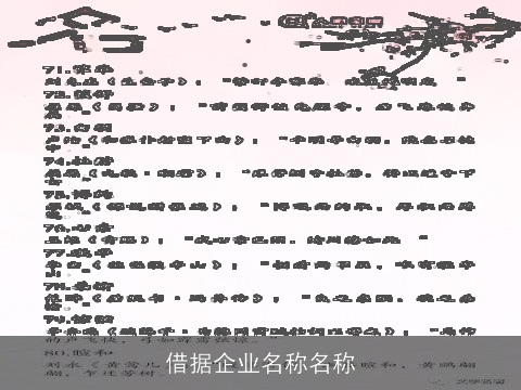 借据企业名称名称
