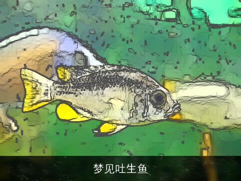 梦见吐生鱼