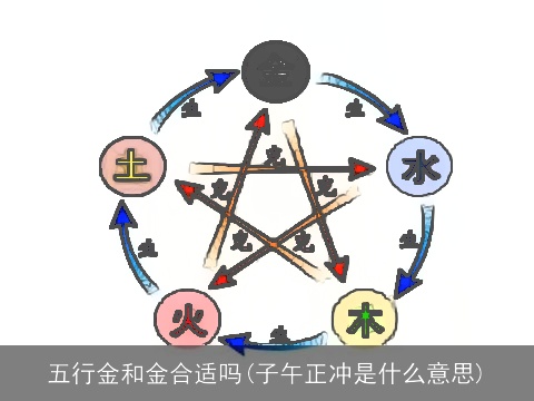 五行金和金合适吗(子午正冲是什么意思)
