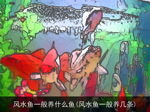 风水鱼一般养什么鱼(风水鱼一般养几条)