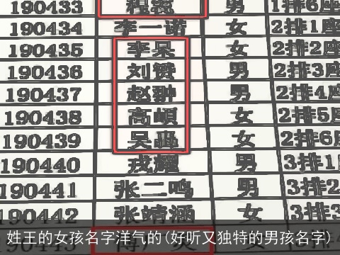 姓王的女孩名字洋气的(好听又独特的男孩名字)