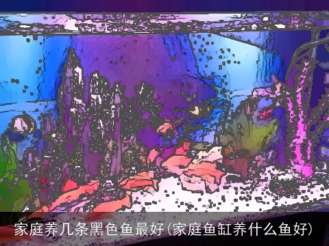 家庭养几条黑色鱼最好(家庭鱼缸养什么鱼好)