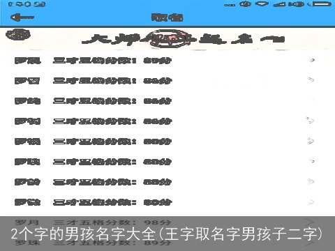 2个字的男孩名字大全(王字取名字男孩子二字)