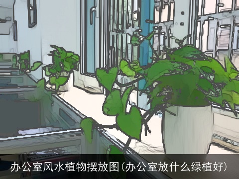 办公室风水植物摆放图(办公室放什么绿植好)