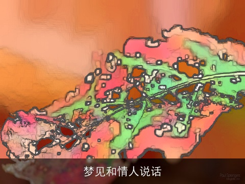 梦见和情人说话