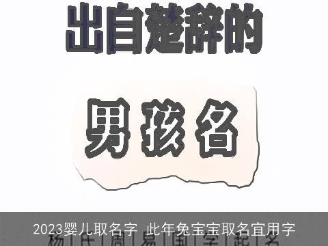 2023婴儿取名字 此年兔宝宝取名宜用字