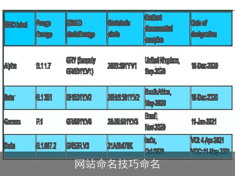 网站命名技巧命名