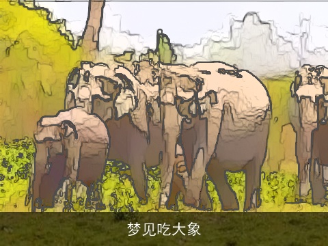 梦见吃大象