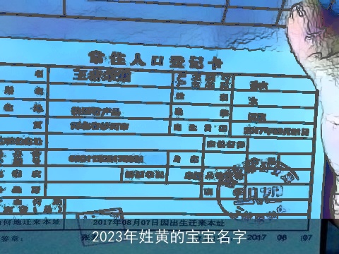 2023年姓黄的宝宝名字