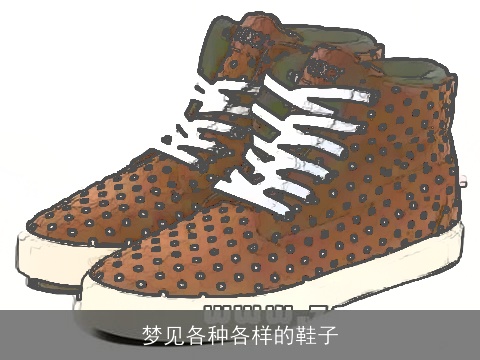 梦见各种各样的鞋子