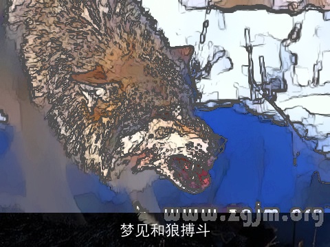 梦见和狼搏斗