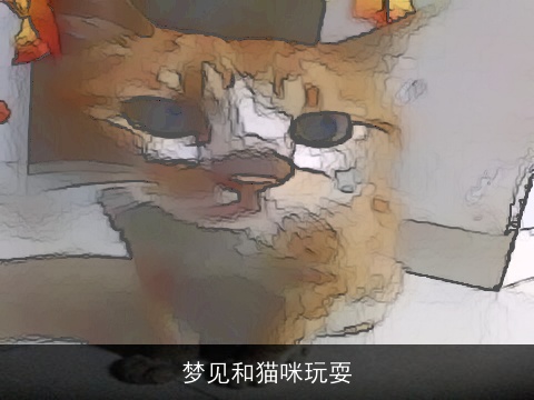 梦见和猫咪玩耍