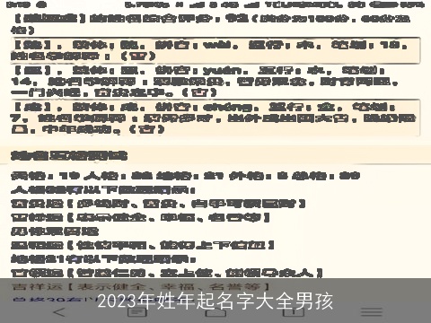 2023年姓年起名字大全男孩