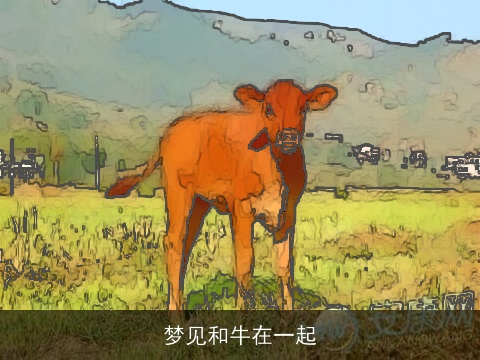 梦见和牛在一起