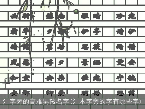 氵字旁的高雅男孩名字(氵木字旁的字有哪些字)