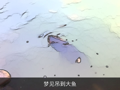 梦见吊到大鱼