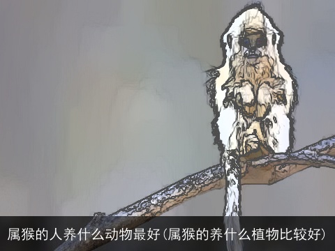 属猴的人养什么动物最好(属猴的养什么植物比较好)