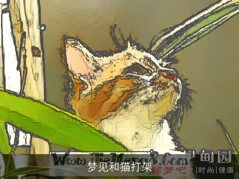 梦见和猫打架