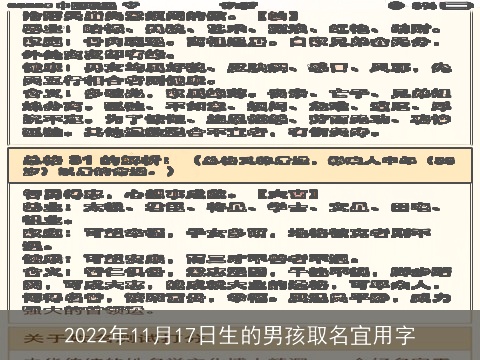 2022年11月17日生的男孩取名宜用字