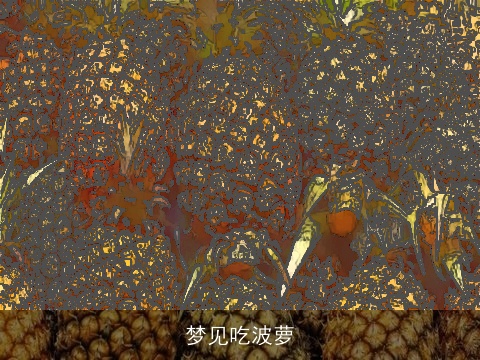 梦见吃波萝